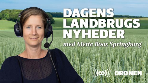 Dronen Landbrugsavisens daglige nyhedspodcast